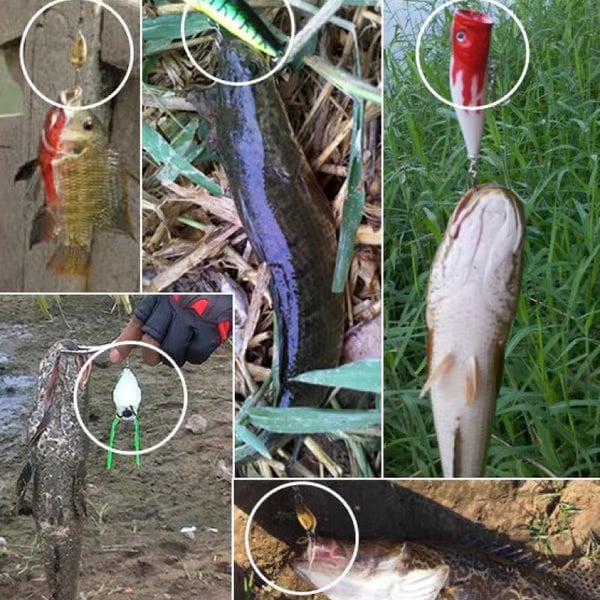 🎣🎄 Christmas Fishing Lures Advent Calendar – Limited Release